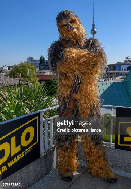 May 2018, Germany, Berlin: Star Wars character Chewbacca promotes the new film 'Solo: A Star Wars Story' which will premiere on 24 May. Photo: Britta...