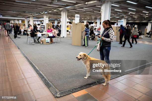 Voter stands with her dog while looking at her mobile device inside the Corferias polling station during the second round of presidential elections...