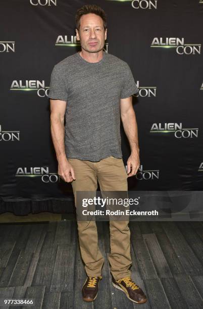 David Duchovny at A+E Networks, Mischief Management & Prometheus Entertainment present AlienCon 2018 at Pasadena Convention Center on June 17, 2018...