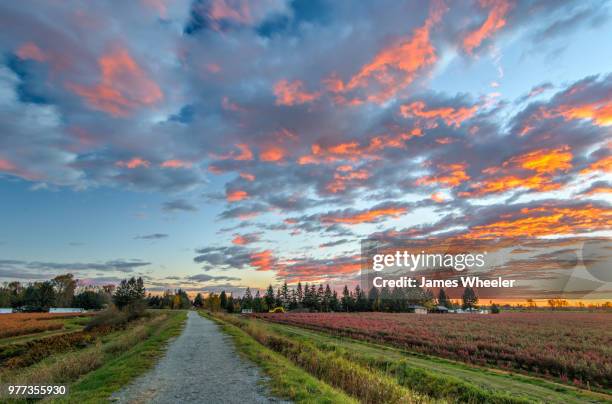 winter sunsets - wheeler fields stock pictures, royalty-free photos & images