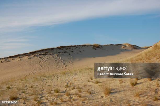 dead dunes @ neringa, lithuania - neringa fotografías e imágenes de stock