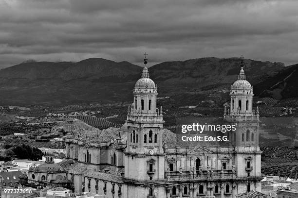 catedral en blanco y negro - en blanco 個照片及圖片檔