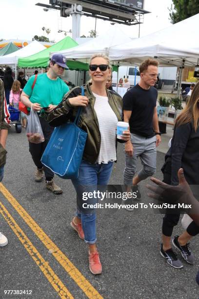 Natasha Henstridge is seen on June 17, 2018 in Los Angeles, California.