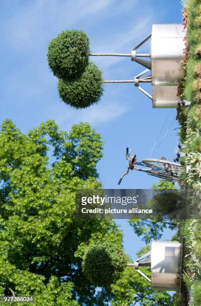 May 2018, Germany, Stuttgart: A bike on Uni Hohenheim's vertical hightech garden hanging from a building on the day of its dedication. The facade...
