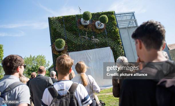 May 2018, Germany, Stuttgart: Students looking at Uni Hohenheim's vertical hightech garden on the day of its dedication. The facade garden with...