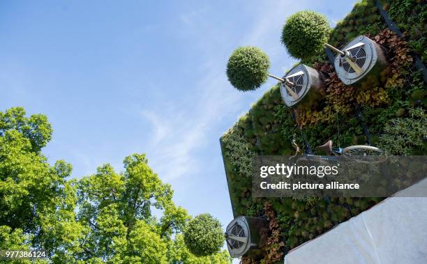 May 2018, Germany, Stuttgart: Uni Hohenheim's vertical hightech garden hanging from a building on the day of its dedication. The facade garden with...