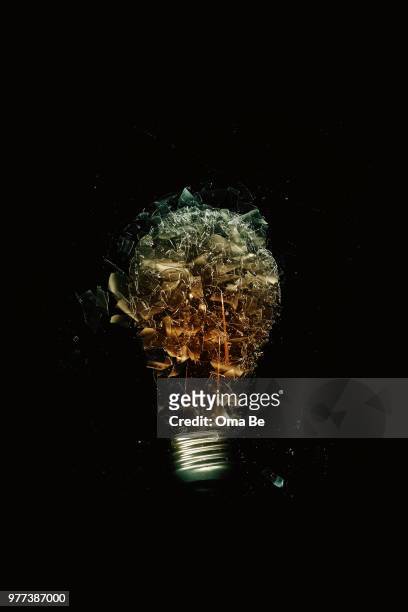 lampa - fish in bulb stock pictures, royalty-free photos & images