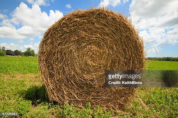 a big hay bale on a farm on a sunny day - bal odlad bildbanksfoton och bilder