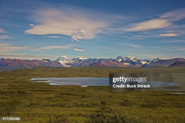 back drop of denali highway - denali highway stock pictures, royalty-free photos & images