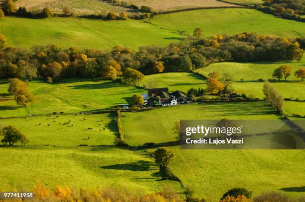 Birdview Background Birdview Photos and Premium High Res Pictures - Getty Images