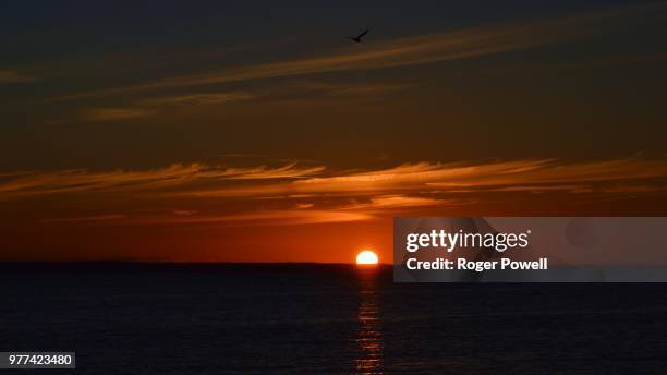 thames estuary sunset - thames estuary stock pictures, royalty-free photos & images