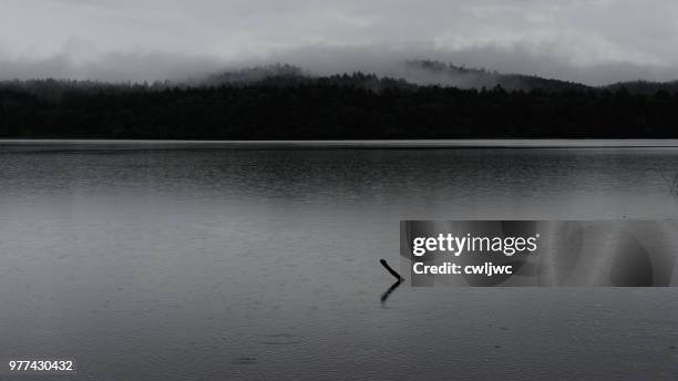 1,633 Colourless Stock Photos, High-Res Pictures, and Images - Getty Images