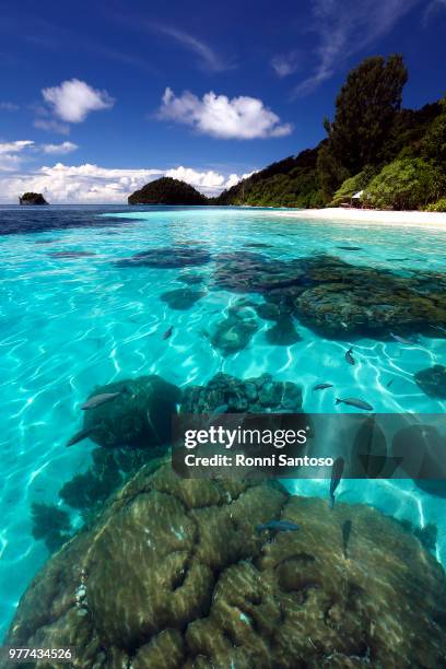 view of sea and island, kawe island, raja ampat, papua, indonesia - raja ampat islands bildbanksfoton och bilder