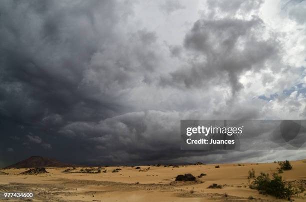 tormenta en las dunas - tormenta stock pictures, royalty-free photos & images