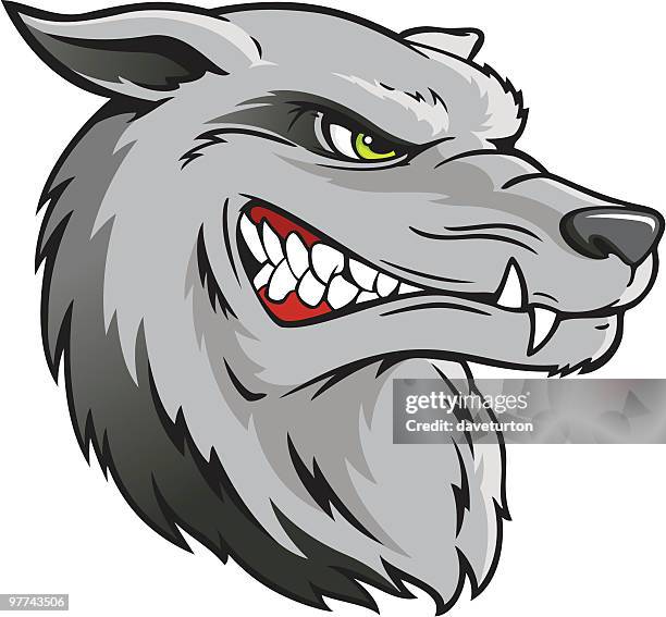 wolf kopf - grüne augen stock-grafiken, -clipart, -cartoons und -symbole