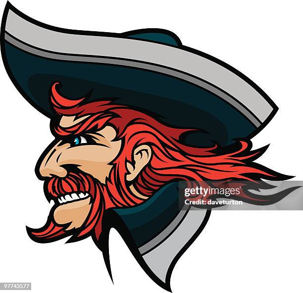 pirate head mascot - pirate hat stock illustrations