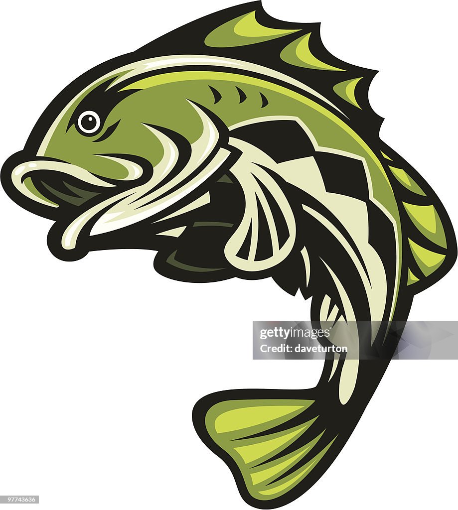 Bass-Fish-Jumping