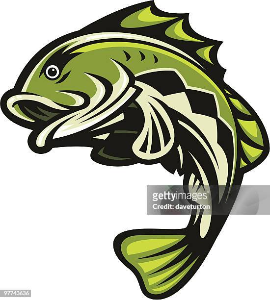 bass-fish-jumping - bass stock-grafiken, -clipart, -cartoons und -symbole