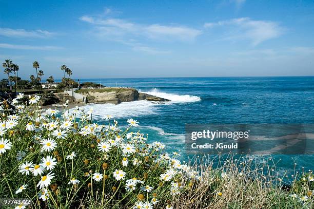 view of la jolla cove - san diego california beach stock pictures, royalty-free photos & images