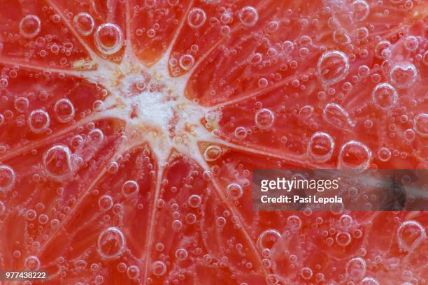 fresh neuron - grapefruit stock pictures, royalty-free photos & images