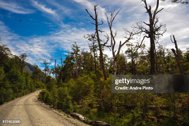 carretera austral - carretera stock pictures, royalty-free photos & images