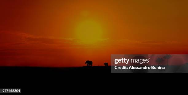 tramonto africano - africano stock pictures, royalty-free photos & images