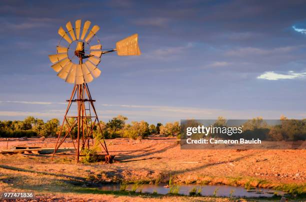 outback dawn - outback windmill bildbanksfoton och bilder