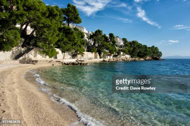 buildings among trees on beach, brela, split-dalmatia, croatia - split stock-fotos und bilder