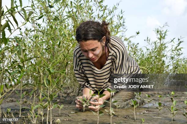 Colombian scientist Ariadna Libertad Burgos of the National Museum of Natural History takes samples to study the biodiversity of the mangrove on...