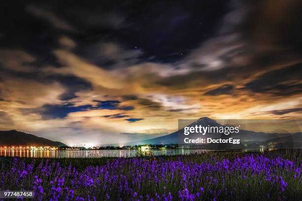 fuji mountain and lavender field in summer at oishi park, kawaguchiko lake,japan - doctoregg stock pictures, royalty-free photos & images