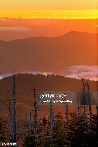 gatlinburg,usa - gatlinburg winter stock pictures, royalty-free photos & images