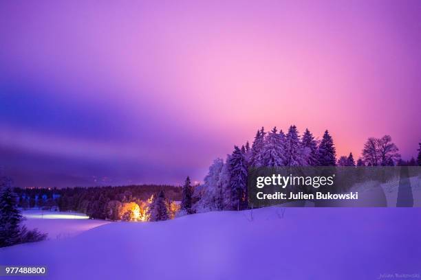 snow paradise - bukowski stock pictures, royalty-free photos & images