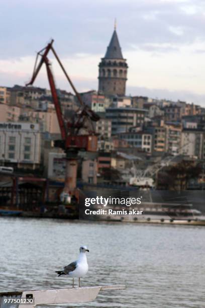 galata kulesi - ramius stock pictures, royalty-free photos & images