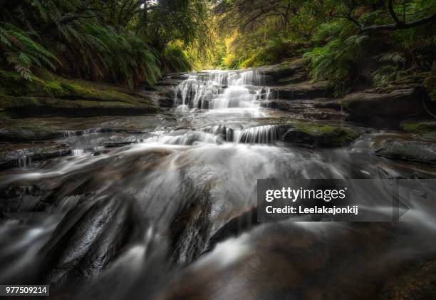 leura cascades waterfall - leelakajonkij stock-fotos und bilder