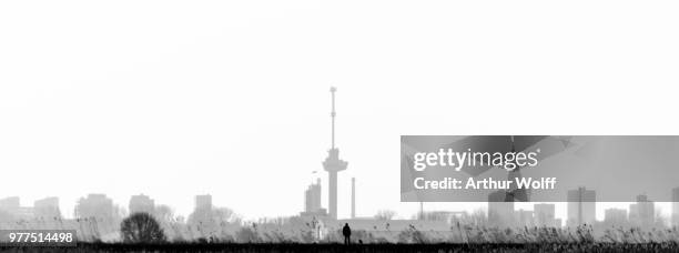 skyline rotterdam high key - wolff stock pictures, royalty-free photos & images