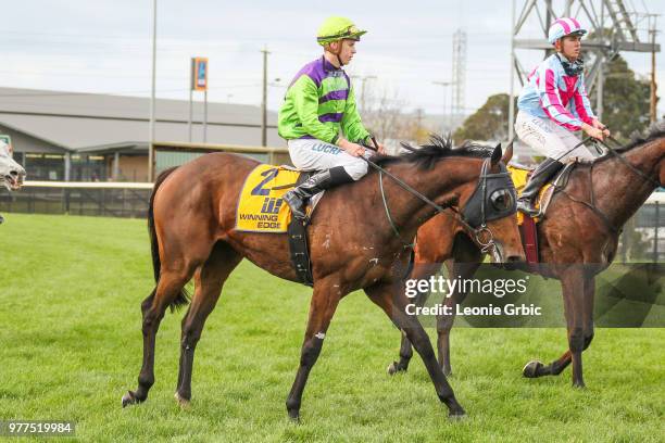 Is Don is Good ridden by Fred Kersley returns after winning the Old Sale Road Vets Maiden Plate at Moe Racecourse on June 18, 2018 in Moe, Australia.
