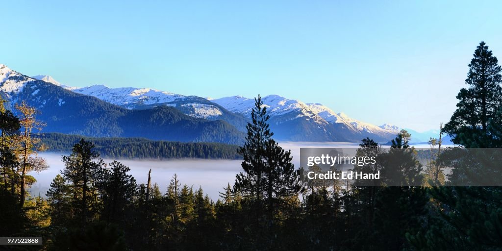 Above the Fog