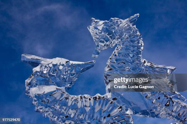 ottawa,canada - ice sculpture stock pictures, royalty-free photos & images