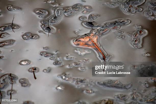 eau trouble  -   muddy water - cascade eau stock pictures, royalty-free photos & images