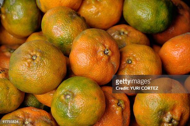 Tangerines for sale at the Municipal market in Cartago, some 25 km south of San Jose, on March 13, 2010. AFP PHOTO/ Yuri CORTEZ