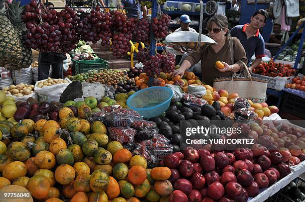 Woman buys fruits at the Municipal market in Cartago, some 25 km south of San Jose, on March 13, 2010. AFP PHOTO/ Yuri CORTEZ