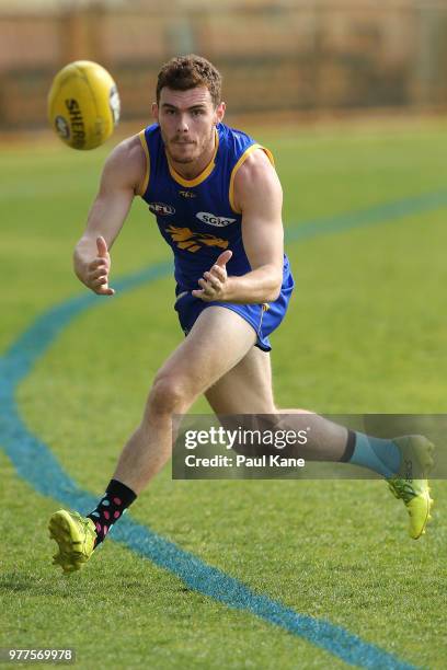 Luke Shuey marks the ball during a West Coast Eagles AFL training session at Subiaco Oval on June 18, 2018 in Perth, Australia.