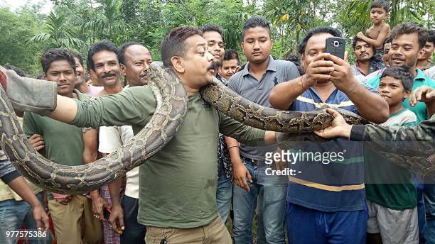 In this picture taken on June 17 forest range officer Sanjay Dutta , holds a 30 feet long python weighing 40 kg at Sahebbari village in Jalpaiguri...