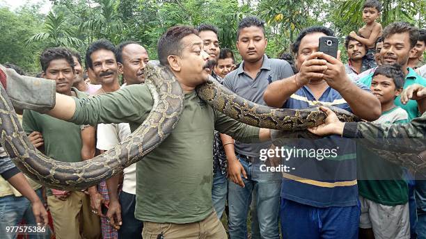 In this picture taken on June 17 forest range officer Sanjay Dutta , holds a 30 feet long python weighing 40 kg at Sahebbari village in Jalpaiguri...