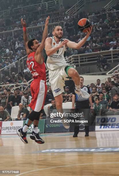 Matt Lojeski Panathinaikos superfoods during the Greek Basketball League Final Game between Panathinaikos and Olympiacos BC. .