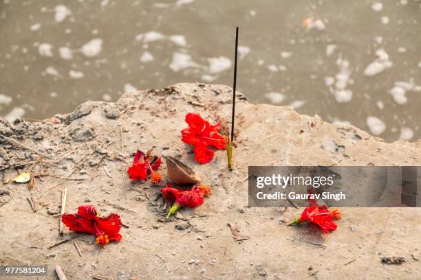 ganga worship - ganga stock pictures, royalty-free photos & images