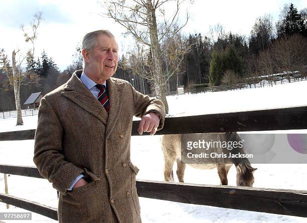 Prince Charles, Prince of Wales looks at Polish Tarpan Horses as he visits a Bison Reserve on March 16, 2010 in Bialowieza, Poland. Prince Charles,...