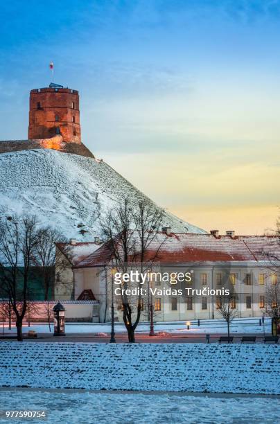 gediminas tower, vilnius, lithuania - vilnius stock pictures, royalty-free photos & images