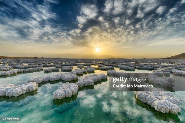 salt crystals on surface of dead sea, israel - israel nature stock pictures, royalty-free photos & images