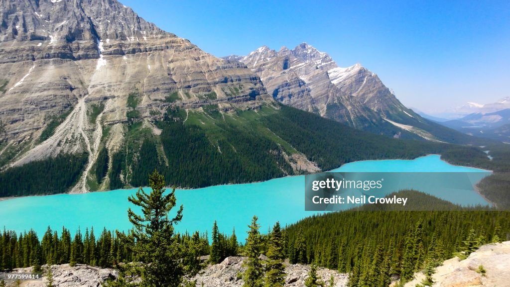 Peyto Lake in Banff National Park, Alberta, Canada